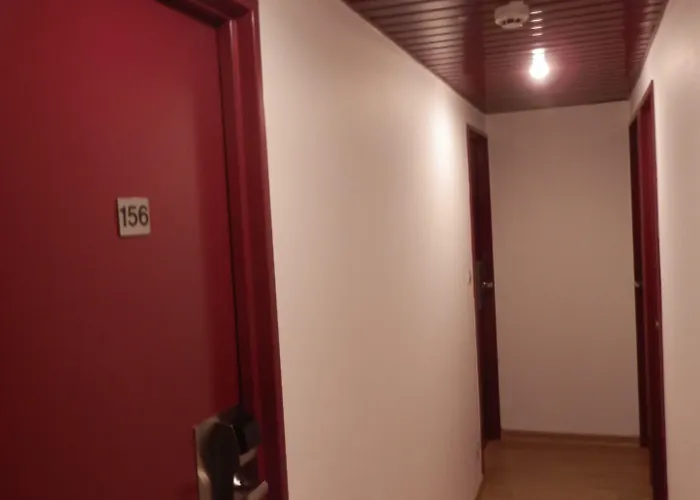 巴黎酒店 酒店 卢德