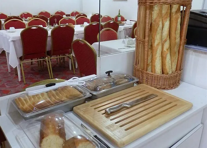 酒店 巴黎酒店 卢德