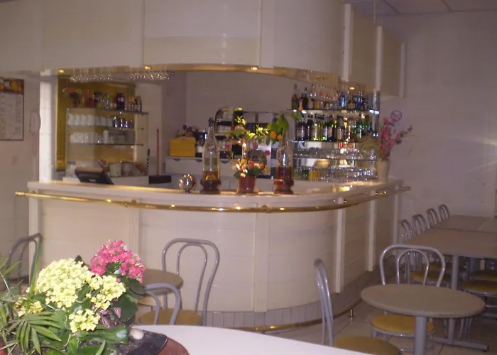 巴黎酒店 酒店 3*